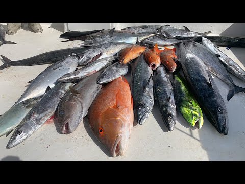 Selling All The Fish We Catch! (Commercial Fishing)