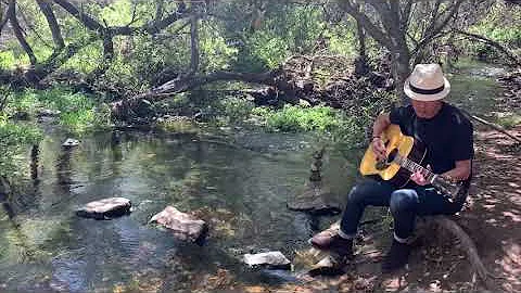 "Mother Nature's Son" (Beatles cover)