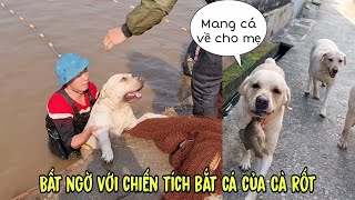 Thấy người ta kéo lưới, Cà Rốt cũng nhảy xuống bắt cá và cái kết...Mang Cá Về Cho Mẹ