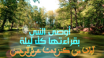 اواخر سورة البقرة - (امن الرسول بما انزل اليه)-آيتين بصوت لا يوصف هم خواتيم سورة البقرة.