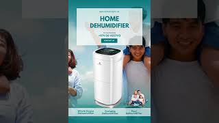 Breath Of Fresh Air The Transformative Power Of Dehumidifiers