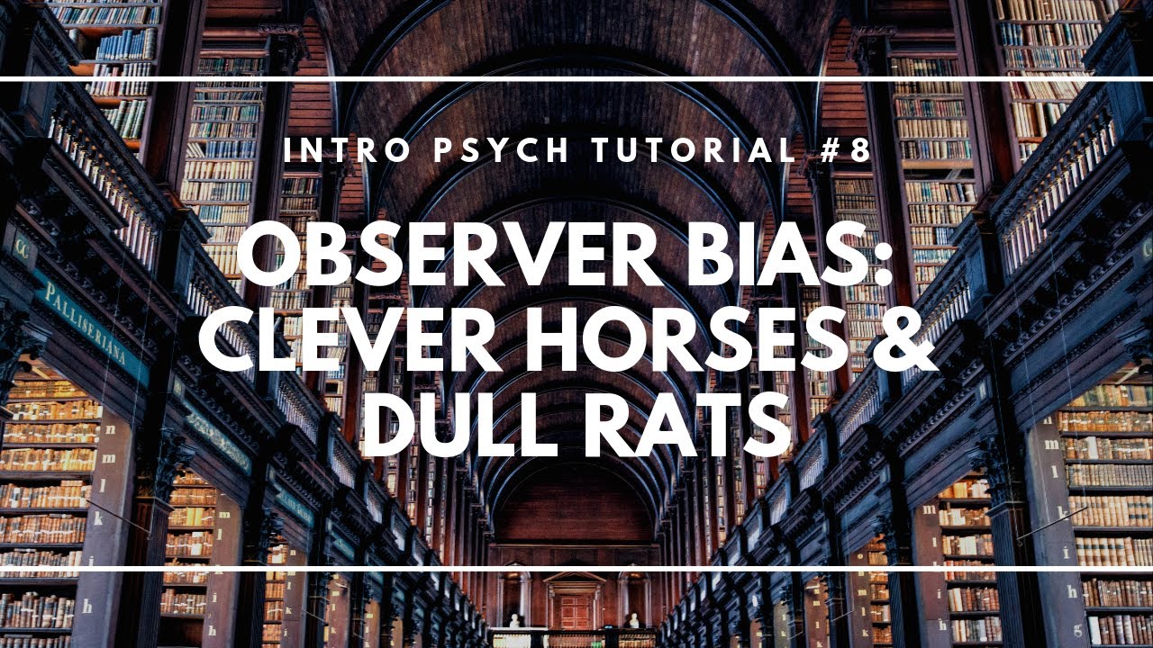 Observer Bias: Clever Horses And Dull Rats (Intro Psych Tutorial #8)