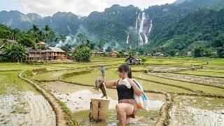 How to catch turtles in rice paddies - cooking with family on a floating house.