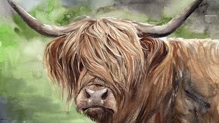 Watercolor Highland Cow Painting Tutorial