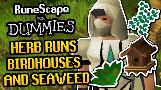 RuneScape For Dummies: Herb Runs, Birdhouse Runs and Giant Seaweed Guide (OSRS)