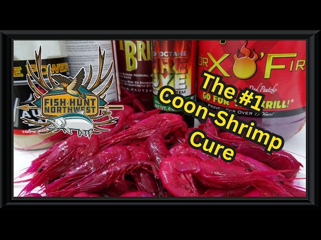 How-To The #1 Cure for Coon-Shrimp 