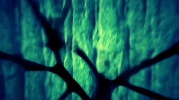 Arms And Sleepers - I Am A Strange Loop (Official Video) {HD 720p}