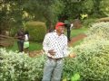 JOSEPH MWANIA PERFORMS KYAMANA KITHETBEESYO BY PROMISE FILMS Mp3 Song