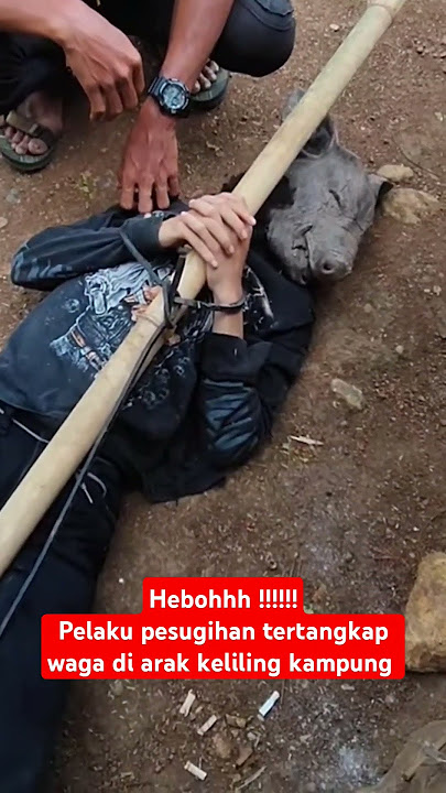 Heboh !!! Pelaku pesugihan babi ngepet tertangkap warga d arak keliling kampung