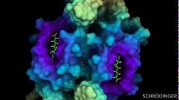 Schrödinger Scientific Animations and Visual Effects (Show Reel 2013)