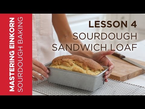 einkorn-sourdough-sandwich-loaf---mastering-einkorn-sourdough-baking:-lesson-4