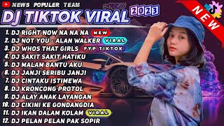 DJ TIKTOK TERBARU 2023 - DJ RIGHT NOW NA NA NA X NOT YOU X WHOS THAT GIRL REMIX TIK TOK FULL ALBUM