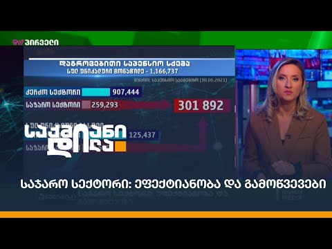 საჯარო სექტორი: ეფექტიანობა და გამოწვევები