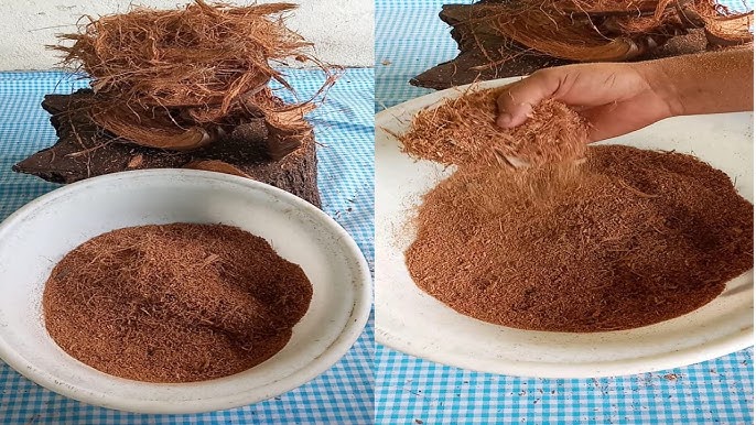 La fibra de coco y sus beneficios para el sustrato 