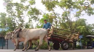 Profil & Potensi Desa Nonapan II Kec. Poigar Kab. Bolaang Mongondow (KKT 115 UNSRAT)