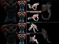 🔥 Best Triceps Workout at Home | No Equipment | 3x12 Reps for Bigger Arms 💪#gymworkout #fitness