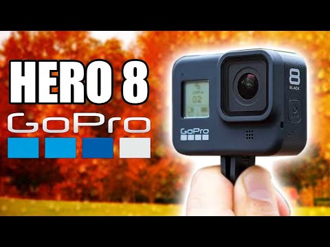 GoPro Hero 8 BLACK - Should You Upgrade  Or Just Get The  329 Hero 7