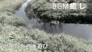 HealingMusic　小魚たちの水遊び　