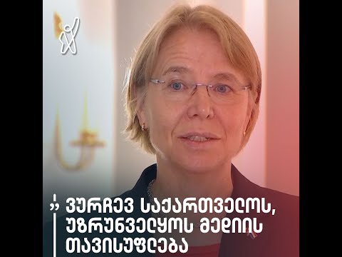 „ვურჩევ საქართველოს, უზრუნველყოს მედიის თავისუფლება და დამოუკიდებლობა“