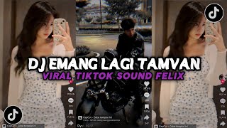 DJ SUNGGUH KETAMPANAN INI BENAR" MENYIKSAKU | RPH & DJ DONAL - LAGI TAMVAN