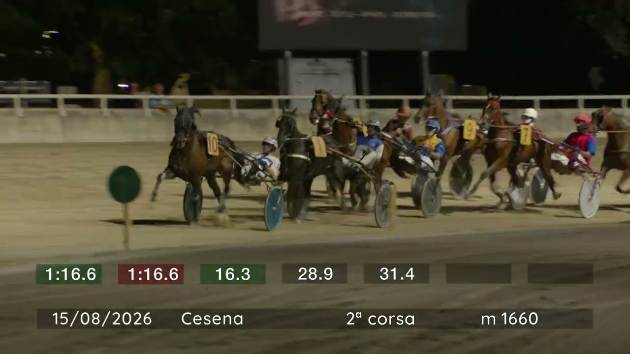2026 08 15 | Corsa 2 | Metri 1660 | Premio Batteria B - Trofeo Annamaria Grassi