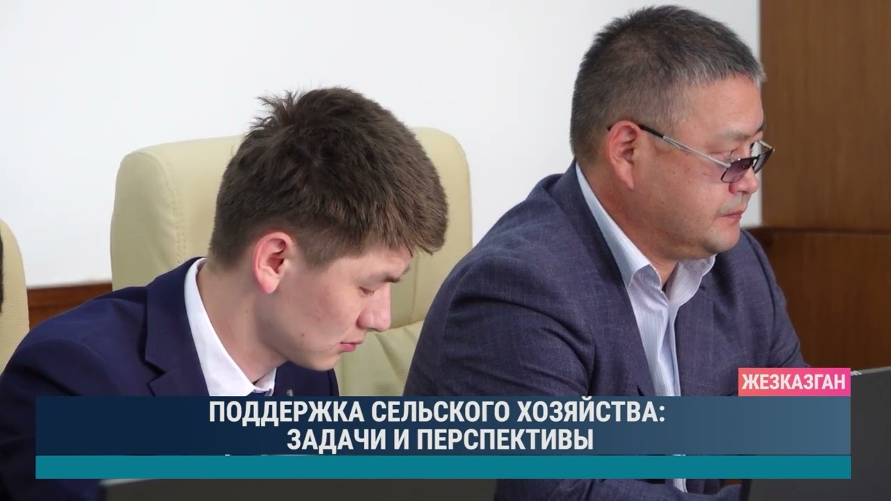 ПОДДЕРЖКА СЕЛЬСКОГО ХОЗЯЙСТВА ЗАДАЧИ И ПЕРСПЕКТИВЫ