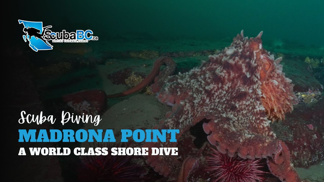 youtube-video-thumbnail