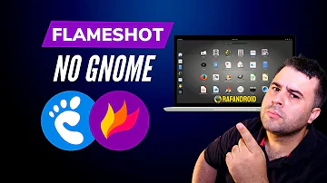 Como usar Flameshot?
