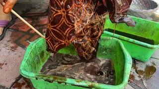 Tutorial Cara Pakai Naptol Batik
