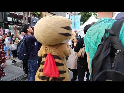JHKTV] 신촌 명물고양이 얘네들 뭐야  shin chon special <strong>cat</strong>  What are these <strong>guys</strong>