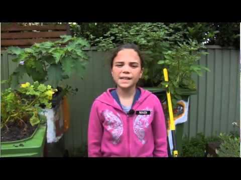 Alyssa | How to grow potatoes