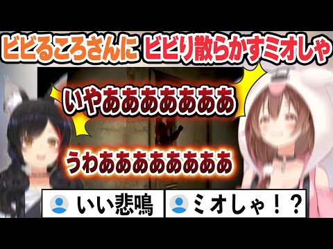 【前半】ビビるころさんに爆笑するミオしゃ【後半】ビビるころさんにビビり散らかすミオしゃ ビビりシーンまとめ【戌神ころね/大神ミオ/ホロライブ/切り抜き】