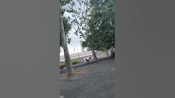 حالات واتس همسات ام كلثوم 