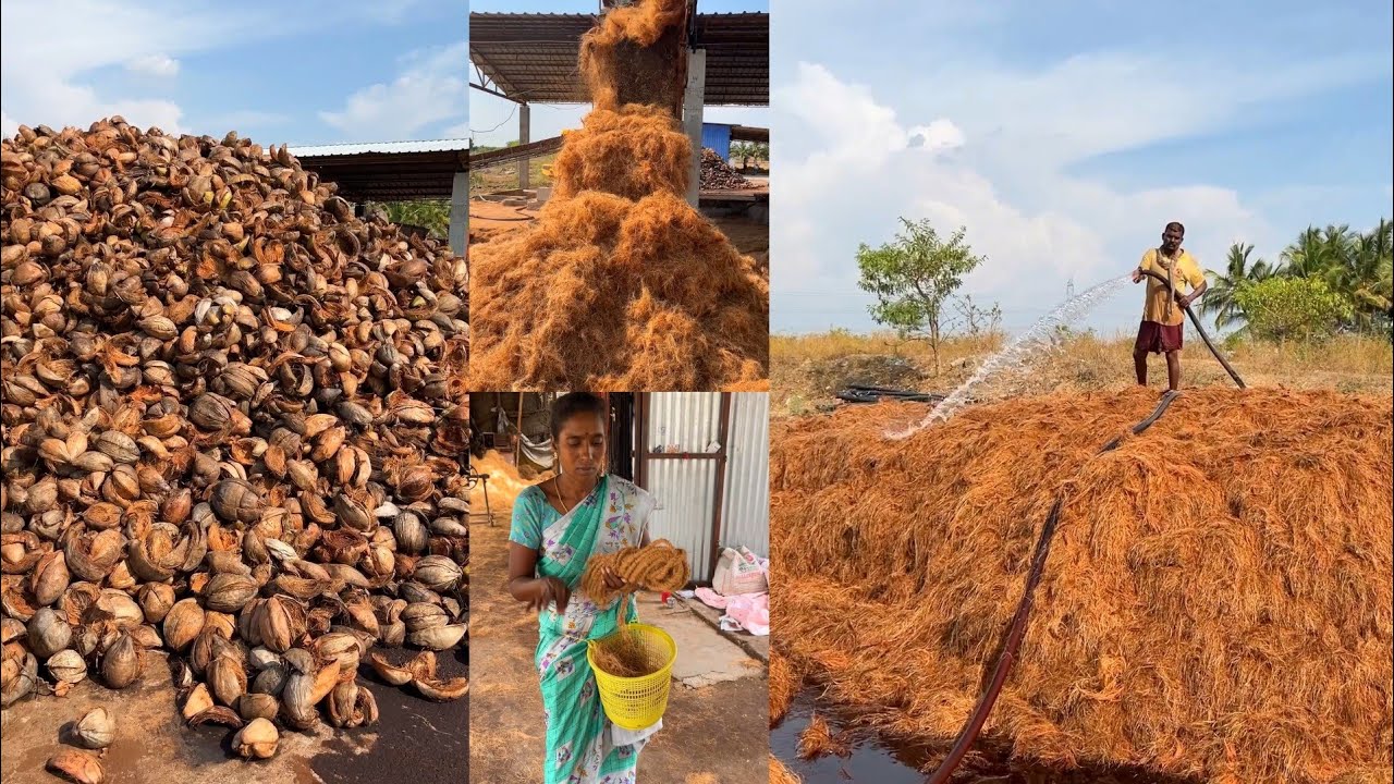 Joot Making How Coconut Coir Rope ( रस्सी ) Are Made in Mega Factory of South India ...