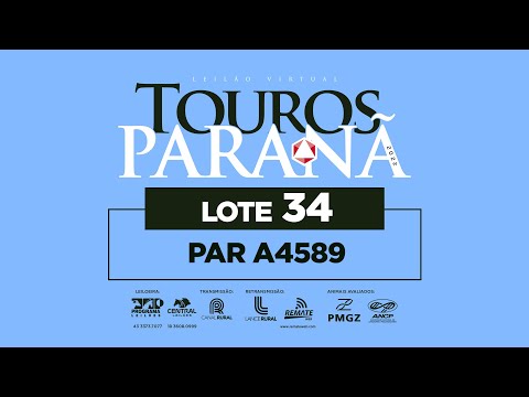 LOTE 34 PAR A4589