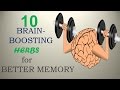 10 Brain-Boosting Herbs for Better Memory - Nature Care 2017