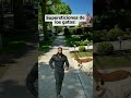Supersticiones de las personas VS supersticiones de los gatos 🐈⬛😂