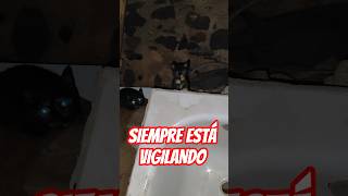 ÓBITO - El Único Superviviente ÓBITO - El Único Superviviente