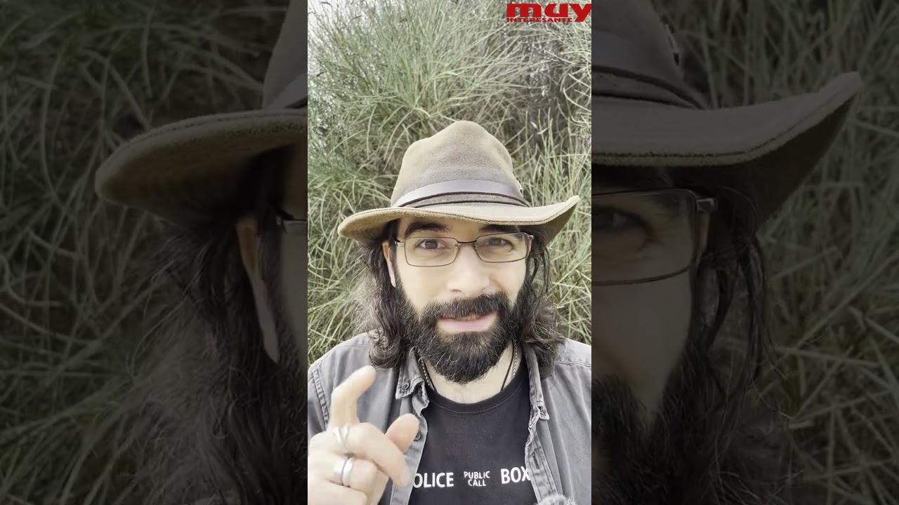 ¿Qué es el eguzkilore? Descubre la planta emblemática del Pais Vasco 