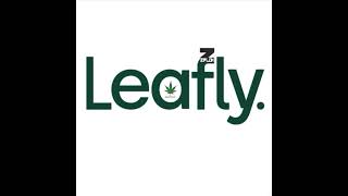Marijuana Records - Ziplok - Marijuana Yup - Leafly