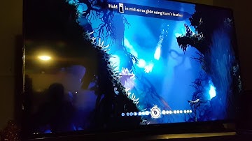 Ori and the Blind Forest: Bash Bug?