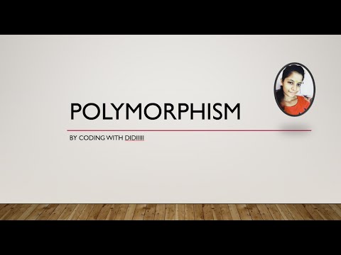 Polymorphism in Java: The Ultimate Guide for Beginners