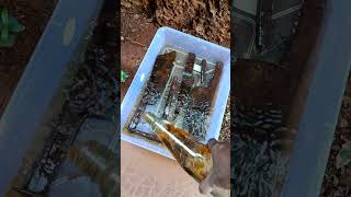 Rust removal using Goan Vinegar #diy #experiment #handmade #treasure #restoring
