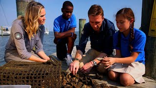 You Can Help Save The Oceans – Philippe Cousteau & Newday Impact Investing