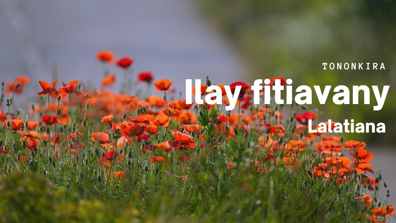 Ilay fitiavany - Lalatiana (Tononkira)