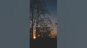 سورة الأنبياء - Surat Al-Anbya | الأية 89-90  | دعاء زكريا عليه السلام