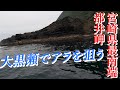 クエ【アラ】 宮崎県最南端 都井岬灯台下の大黒瀬を攻める！