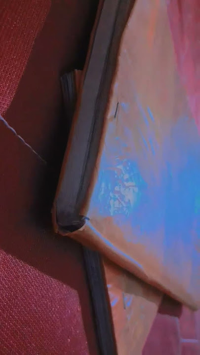 #shorts# scott and zelda # my sunday planning# darkest song sang by the cutest voice#