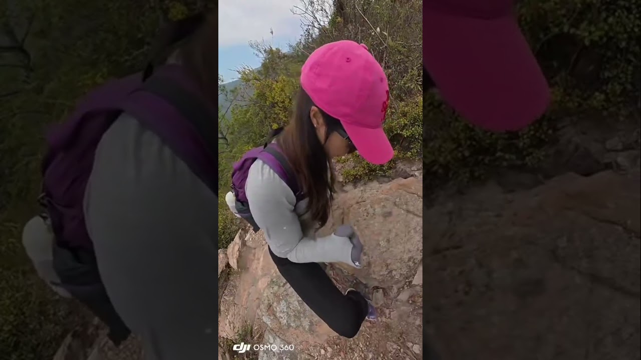 西狗牙19，2，2026