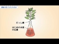 小6理科　植物に取り入れられる水